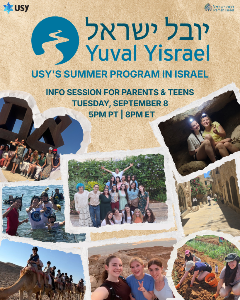 Info Session Summer USY